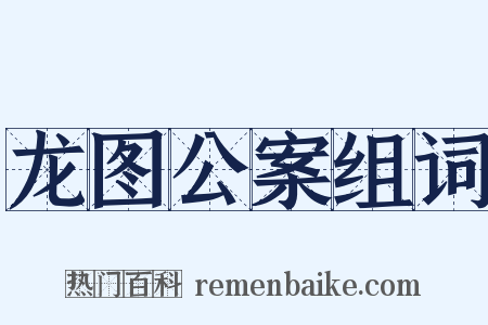 龙图公案组词是什么意思的图片